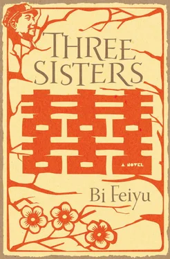 Bi Feiyu Three Sisters обложка книги