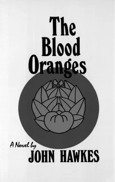 John Hawkes The Blood Oranges обложка книги