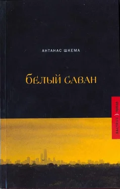 Антанас Шкема Белый саван обложка книги