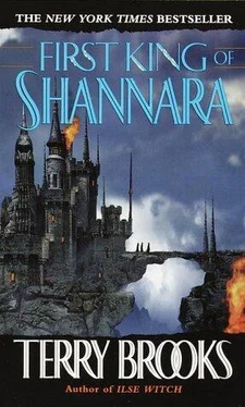 Terry Brooks First King of Shannara обложка книги