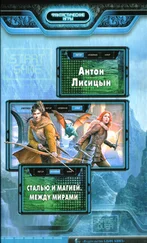 Антон Лисицын - Между мирами