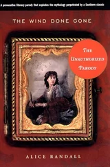 Alice Randall - The wind done gone