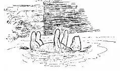 Eeyore cried everybody Looking very calm very dignified with his legs in - фото 6