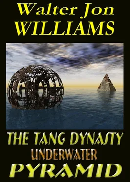 Walter Williams The Tang Dynasty Underwater Pyramid обложка книги
