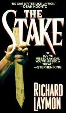 Richard Laymon The Stake обложка книги