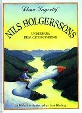 Selma Lagerlöf Nils Holgerssons underbara resa genom Sverige обложка книги