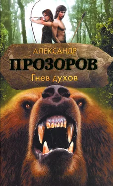 Александр Прозоров Гнев духов обложка книги