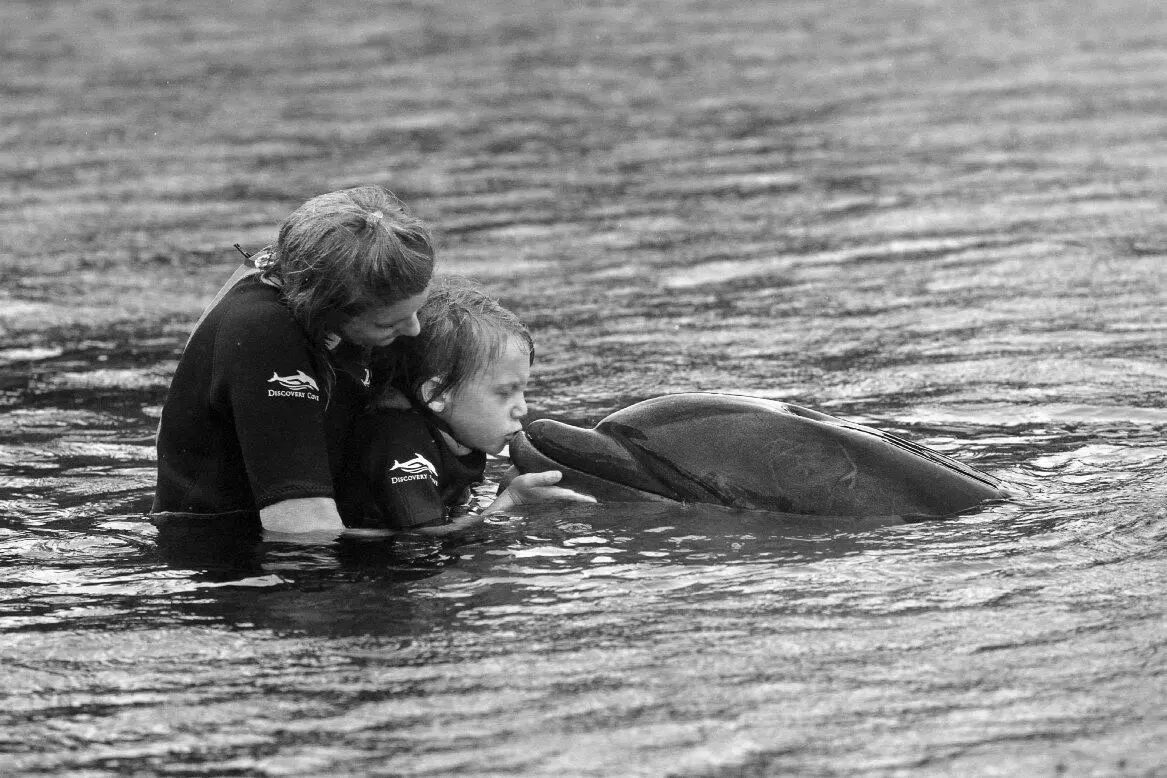 Мой сын Уэсли хотел поплавать с дельфинами Ему исполнялось девять лет в - фото 1