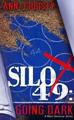 Ann Christy - Silo 49 - Going Dark