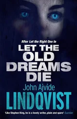 Йон Линдквист - Пускай старые мечты умирают