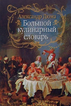 Александр Дюма Большой кулинарный словарь обложка книги