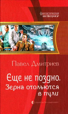 Павел Дмитриев Зерна отольются в пули обложка книги