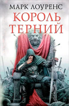 Марк Лоуренс Король терний обложка книги