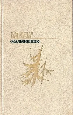 Владислав Николаев Мальчишник обложка книги