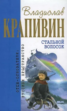 Владислав Крапивин Стальной волосок обложка книги