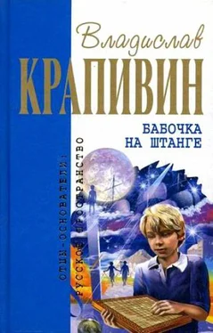 Владислав Крапивин Бабочка на штанге обложка книги