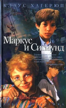 Клаус Хагерюп Маркус и Сигмунд обложка книги