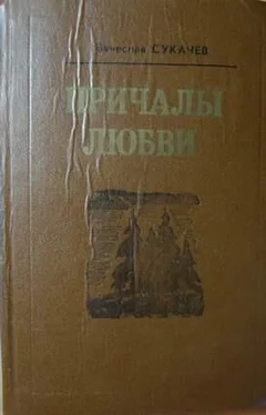 Вячеслав Сукачев Нелепое счастье Толика Жаркова обложка книги