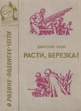 Дмитрий Азов Расти, березка! (рассказы и очерки) обложка книги