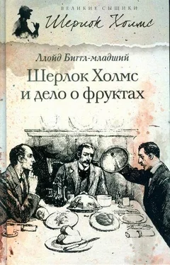 Ллойд Биггл-младший Шерлок Холмс и дело о фруктах обложка книги