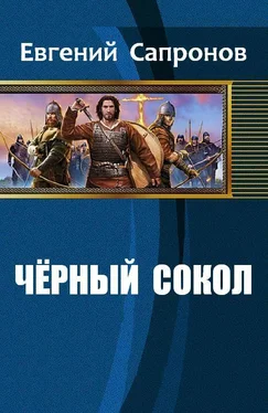 Сапронов Евгений Чёрный сокол обложка книги