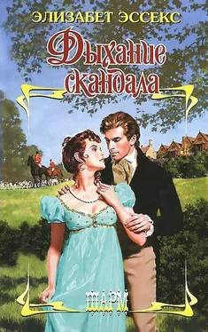 Элизабет Эссекс Дыхание скандала обложка книги