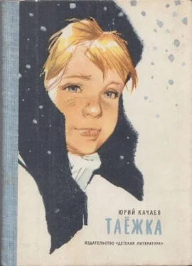 Юрий Качаев Таёжка обложка книги