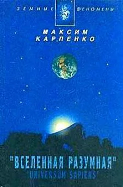 Максим Карпенко Вселенная Разумная обложка книги