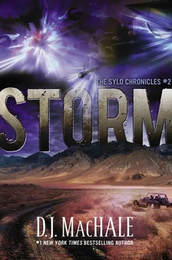 D. MacHale Storm обложка книги