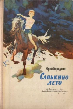 Юрий Бородкин Санькино лето обложка книги