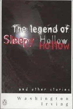 Washington Irving The Legend of Sleepy Hollow обложка книги