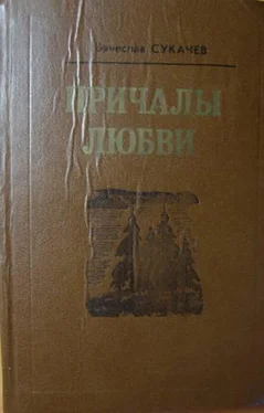 Вячеслав Сукачев В той стороне, где жизнь и солнце обложка книги