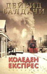 Дейвид Балдачи - Коледен експрес
