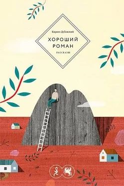 Кирилл Дубовский Хороший роман обложка книги