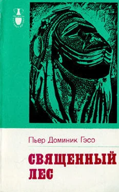 Пьер Гэсо Священный лес обложка книги