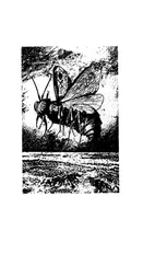 Wolfgang Hohlbein - Der Wiedersacher