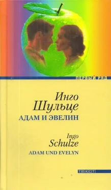 Инго Шульце Адам и Эвелин обложка книги