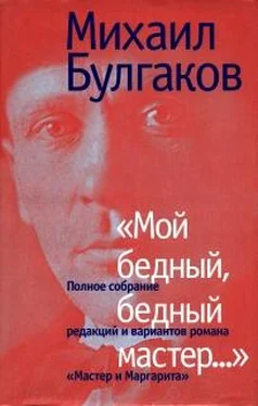 Михаил Булгаков «Мой бедный, бедный мастер…» обложка книги