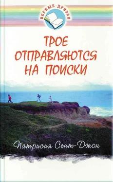 Патрисия Сент-Джон Трое отправляются на поиски обложка книги