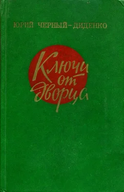 Юрий Черный-Диденко Ключи от дворца обложка книги