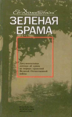 Евгений Долматовский Зеленая брама обложка книги