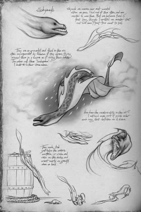 The Shallans Notes Skyeels Skyeels are common near most coastal cities - фото 5
