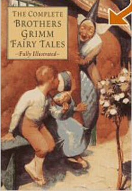 The Brothers Grimm Grimms' Fairy Tales обложка книги