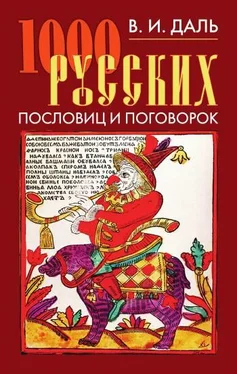 Анатолий Филиппов 1000 русских пословиц и поговорок обложка книги