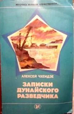 Алексей Чхеидзе Записки дунайского разведчика обложка книги