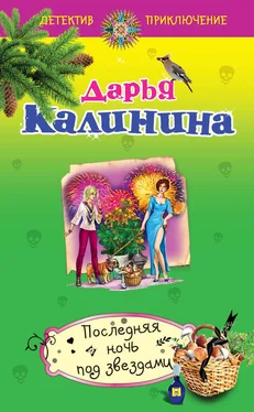 Дарья Калинина Последняя ночь под звездами обложка книги