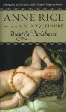 Энн Райс Beauty's Punishment обложка книги