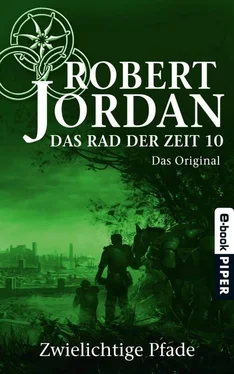 Robert Jordan Zwielichtige Pfade обложка книги