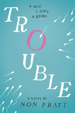 Non Pratt Trouble обложка книги