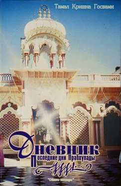 Тамал Кришна Госвами Последние дни Прабхупады. Дневник обложка книги